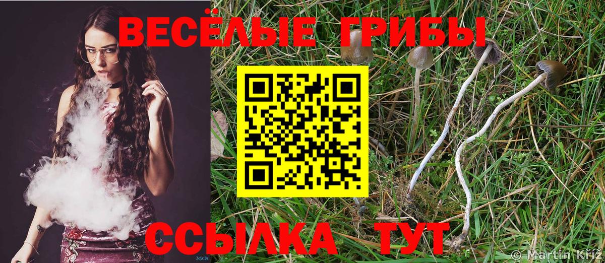 Псилоцибиновые грибы ЛСД  где купить наркотик  Воронеж  Вход с VPN  Галлюциногенные грибы прущие грибы 